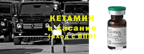 прущие грибы Богородицк
