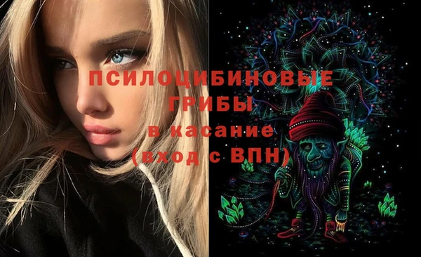 тгк Белокуриха