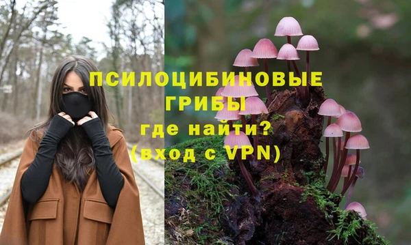 амфетамин Богородск