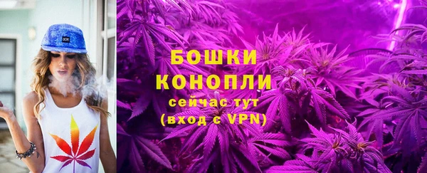 МДПВ Богданович