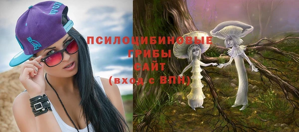 стаф Беломорск