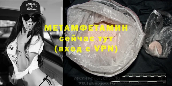 прущие грибы Богородицк