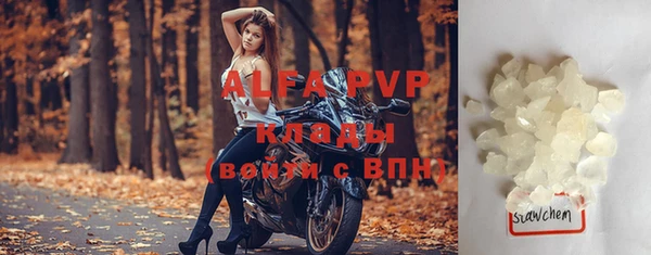 прущие грибы Богородицк
