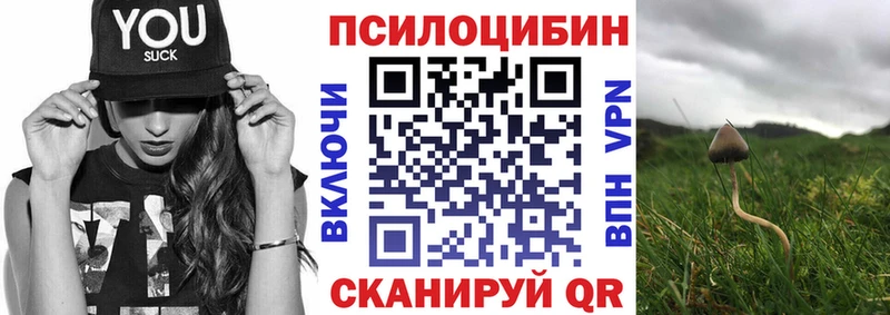 MEGA рабочий сайт Кимовск Галлюциногенные грибы прущие грибы даркнет сайт